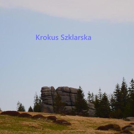 Apartament Krokus Szklarska Szklarska Poręba Esterno foto