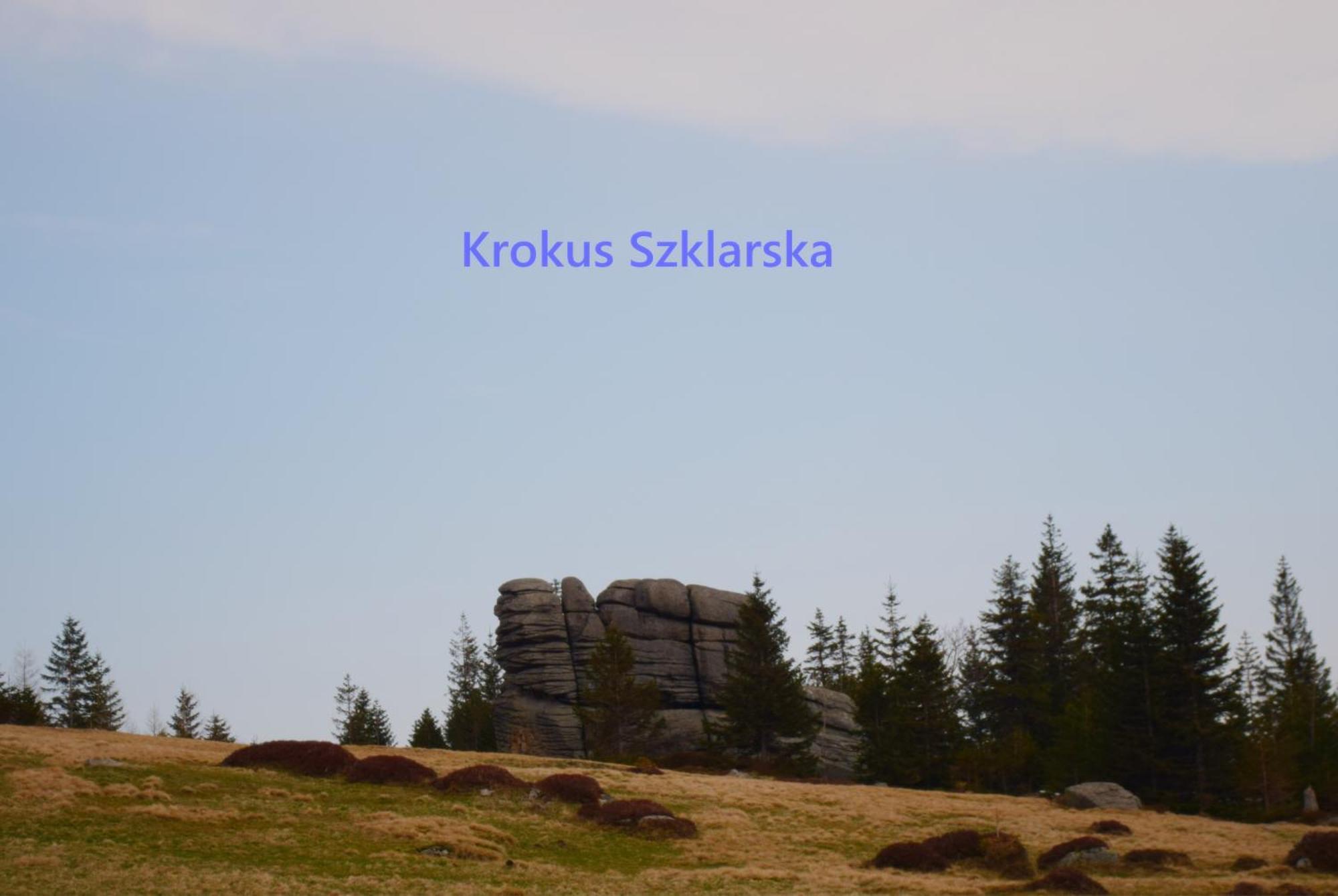 Apartament Krokus Szklarska Szklarska Poręba Esterno foto