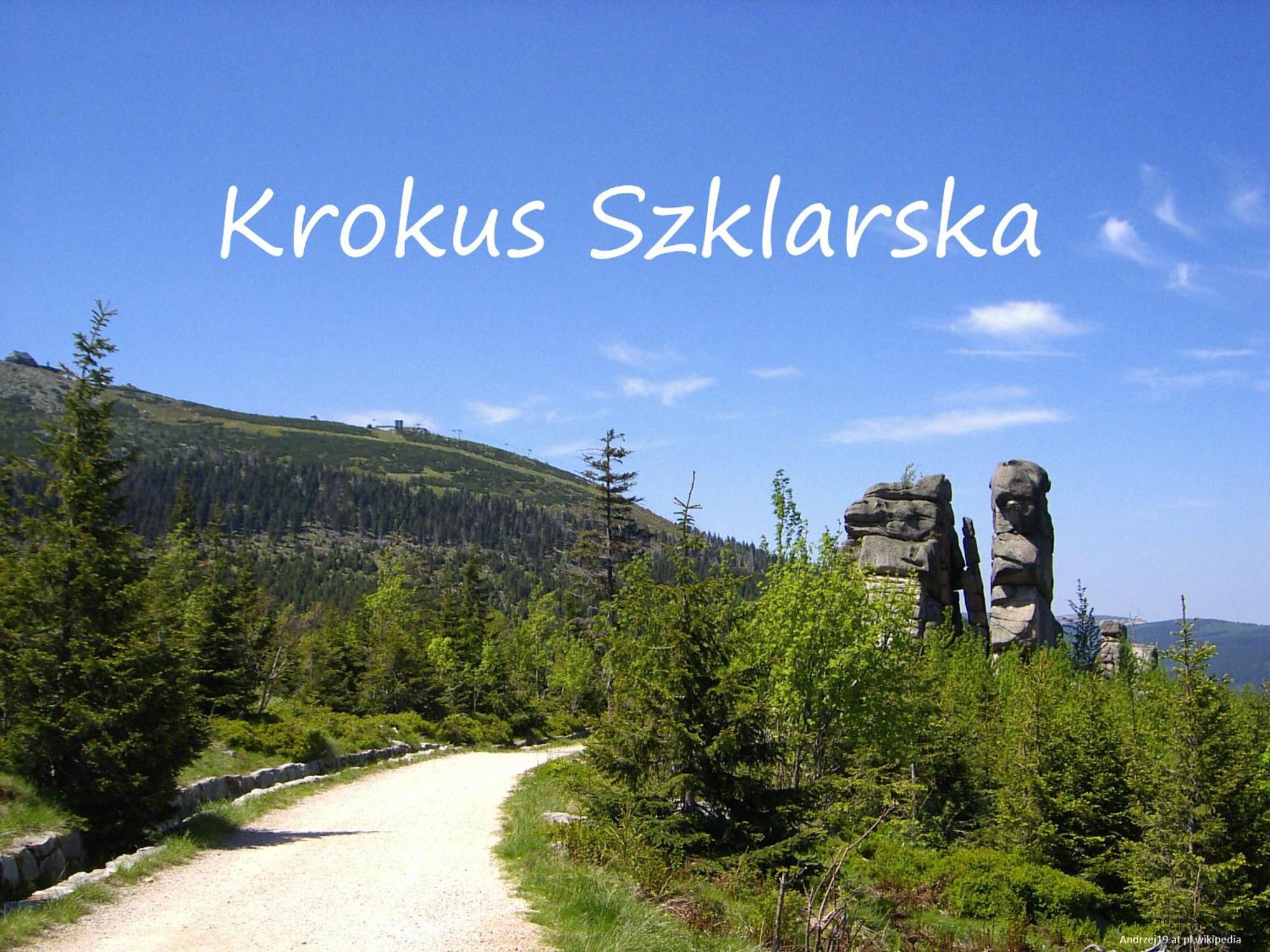 Apartament Krokus Szklarska Szklarska Poręba Esterno foto